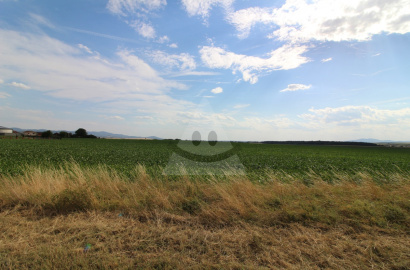 Land for sale, Žabokreky nad Nitrou, Žabokreky nad Nitrou